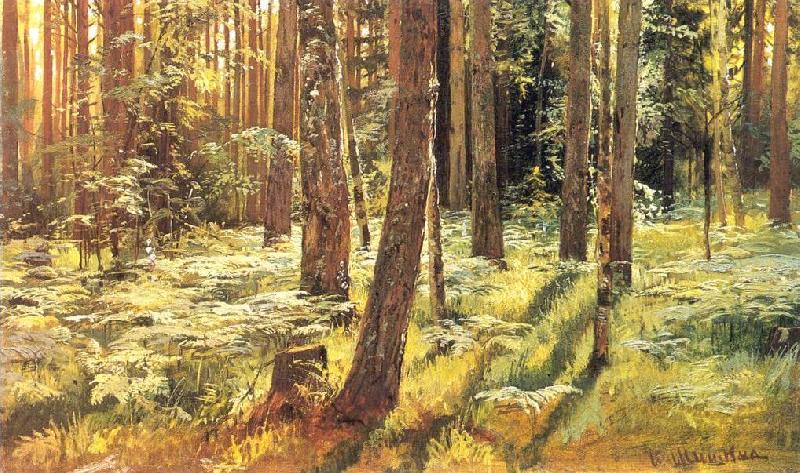 Ivan Shishkin Ferns in a Forest